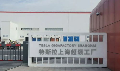 馬斯克中國行觸動(dòng)印度神經(jīng) 印政界怒批“不可原諒”