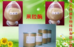 食品行業(yè)用纖維素酶供應(yīng)——高效、安全的全方位解決方案
