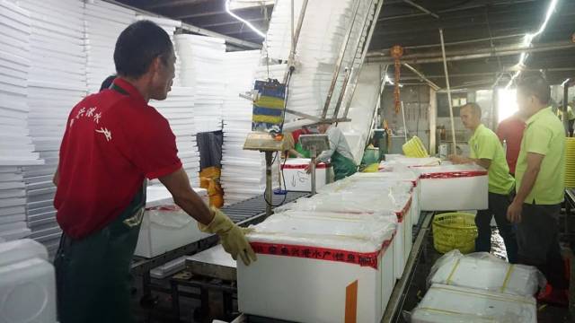 日配全國(guó)70噸！九江魚(yú)興港預(yù)制菜解鎖魚(yú)的N種吃法，讓鮮魚(yú)“游”上百姓餐桌